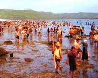 Festival Pesta Rakyat Bau Nyale 2011