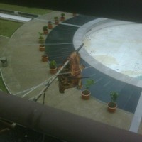 Kepala Babi Sisa Pesta Seni FSRD dan Sudah Tergantung 5 Hari