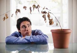 Vasektomi Tak Bikin Pria Loyo