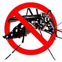 Cinta Diputus, Pemuda Bojonegoro Tenggak Racun di Depan Pacar