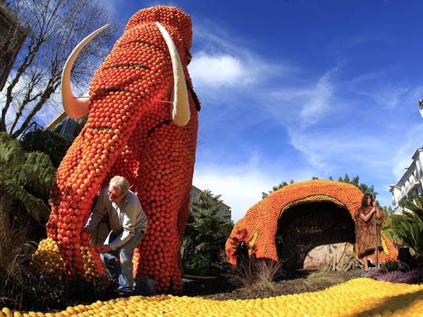Festival Lemon Menton