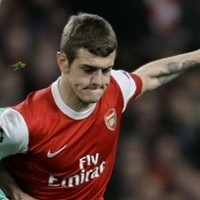 Guardiola Tak Akan Coba Gaet Wilshere
