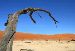 Debu Gurun Sahara Paling Banyak Sumbang Polusi ke Laut