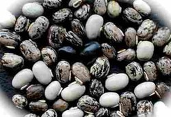 Kara Benguk untuk Kejantanan Pria