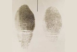 Gaya Asuh Orangtua Bisa Dianalisis Lewat Sidik Jari