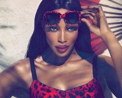 Dolce & Gabbana Rilis Sunglasses Animalier