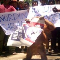 Atim Si Orang Utan Robek Poster NH