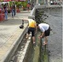 Hati-hati Terpelest di Tangga Beach Pool Ancol