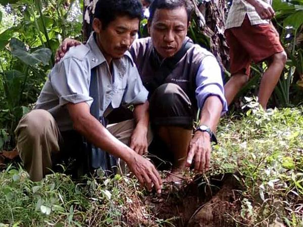 Permukaan Lereng Gunung Wilis Retak