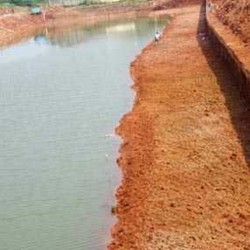 Yihaaa! Kanal Banjir Timur Semakin Hijau