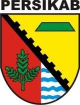 Menang 2-1, Persikab Diakui Gresik United Layak Menang