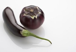 Si Biru dan Ungu yang Menangkal Penyakit