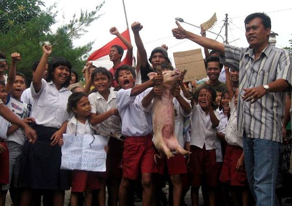Babi Ikut Demo Tolak Penggusuran