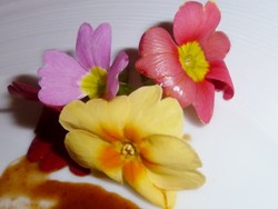 Edible Flowes, Bunga yang Bisa Dimakan