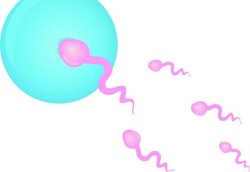 Pria Kelahiran 1980 ke Atas Jumlah Spermanya Makin Sedikit