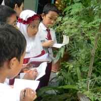 Siswa SD Luqman Al Hakim Dikenalkan Tumbuhan Sekitar