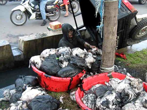 Rem Blong, Dorkas Masuk Got Rem Blong, Dorkas Masuk Got