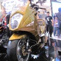 Modifikator Bertangan Dingin dari Pulau Dewata