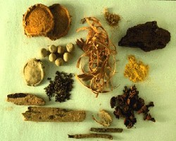 Yang Harus Diperhatikan Sebelum Minum Jamu