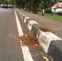 Penembak Waria di Taman Lawang Diduga Hendak Merampok