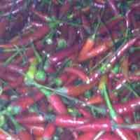 Harga Cabai di Surabaya Kembali Melangit