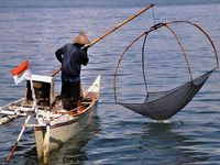 Mencari Udang di Pantai Losari