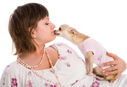 Amankah Mencium Hewan Peliharaan?