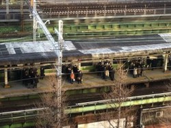 Di Tengah Bencana Dahsyat, Warga Jepang Tetap Tertib