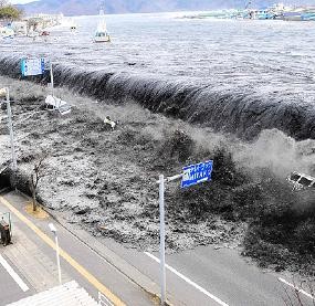 Berlari Dari Kejaran Tsunami Perlombaan Bertahan Hidup