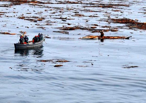 Terseret Tsunami, Seorang Kakek Selamat