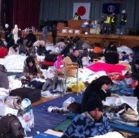 103 WNI dari Jepang Tiba di Jakarta Nanti Sore