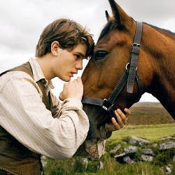 War Horse, Kisah Persahabatan Manusia & Kuda Karya Spielberg