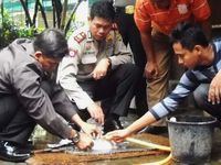 Aksi Polisi Jinakkan Bom