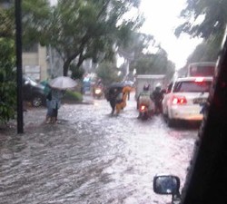 Daftar Pohon Tumbang dan Genangan Air di Jakarta Selatan