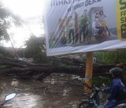Pohon Tumbang Timpa Billboard, Kabel Listrik Menjuntai di Jl Senopati