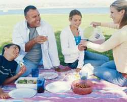 Tips Hadapi Serbuan Serangga Saat Piknik