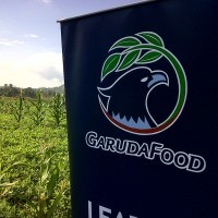 World Bank & GarudaFood Gandeng 8.000 Petani Kacang NTB