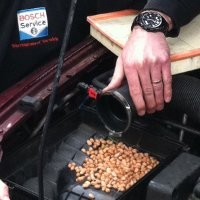 Tupai Jadikan Mesin Gudang Penyimpanan Makanan