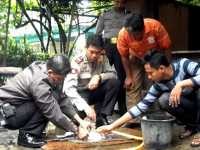 Sketsa Wajah Kurir Bom Utan Kayu untuk Internal Polri