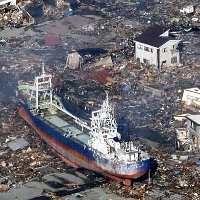 Ekspor Kayu Temanggung ke Jepang Naik 25% Pasca Tsunami