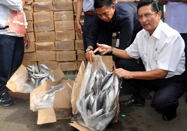 Fadel Tinjau 5.300 Ton Ikan Impor Ilegal
