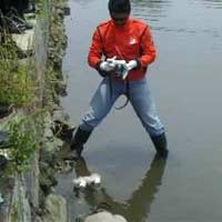 Orang Tua Korban Sempat Mimpi Anaknya Tercebur Laut
