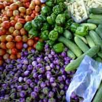 Kapal Roro Tidak Beroperasi, Petani Sayur dan Buah Resah