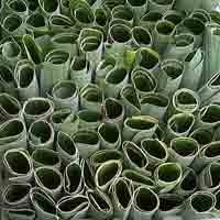 Menelusuri Kampung Lontong di Surabaya