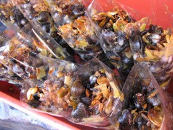 Gurih-gurih Kenyal si Pensi