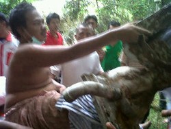 9 Jam Kaki Sugiyono Terperosok di Toilet Masjid Istiqlal