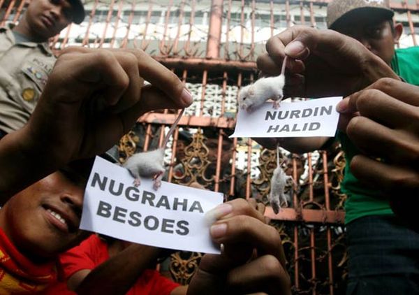 Minta 3N Mundur, Pendemo Lepas Tikus