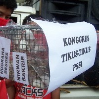 Menanti Kongres Tikus di Pekanbaru