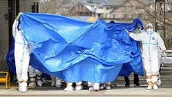 Pekerja Reaktor 2 Fukushima Dievakuasi karena Radiasi Sangat Tinggi