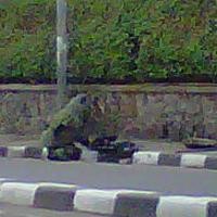 Tas Mencurigakan Diamankan, Lalin Dewi Sartika-Pasar Minggu Lancar